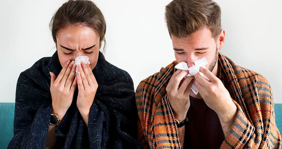 Essential Oils To Curb Allergy Symptoms