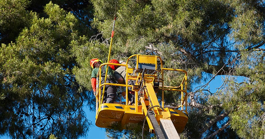 Different type of cranes that riggers provide